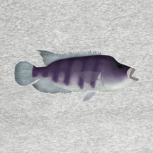 Wolf Cichlid by FishFolkArt